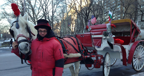 Horse-drawn carriage driver Dimitri Krastv, 30, and his horse Billy are bundled up against the cold. (Caroline Anderson/NY City Lens)