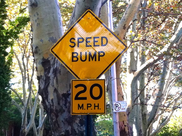 Speed bump sign on 44th Street between Skillman Avenue and Barnett Avenue, in Sunnyside Gardens, Queens.