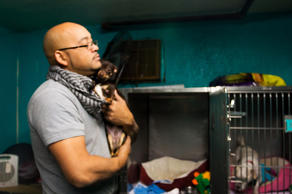 Pedro Rosario, owner of New Beginnings Animal Rescue  and NYC Top Dog Kennel holds Pee-Wee, a small chihuahua.