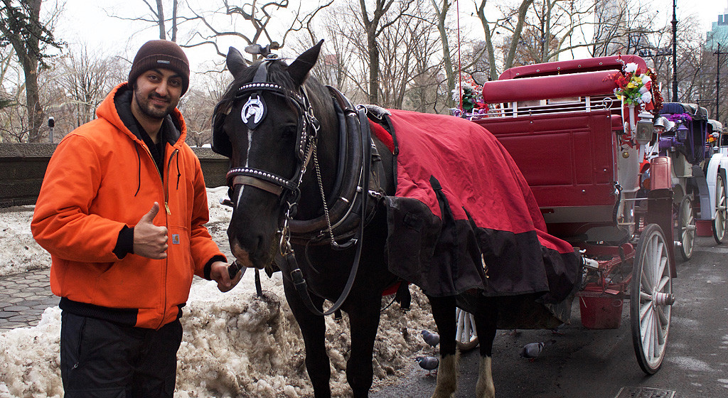 Carriage driver Burak Oksayan and his horse, Blackie (Samantha McDonald)