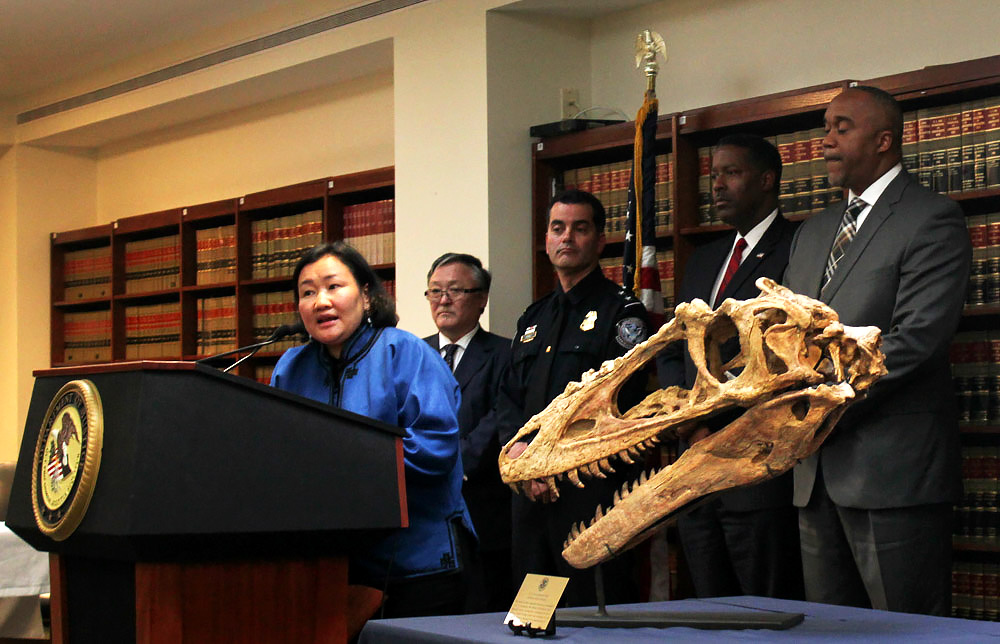 Dr. Bolortsetseg Minjin, Director of the Institute for the Study of Mongolian Dinosaurs, beside a 70-million-year-old Alioramus skull. Behind from the left to right, the Mongolian Ambassador, Altangerel Bulgaa; Director of Customs and Border Protection, N.Y. Field Operations, Robert Perez; Homeland Security Investigations Associate Director Peter Edge; and U.S. Attorney, Eastern District of N.Y., Robert Capers. (Simone McCarthy)