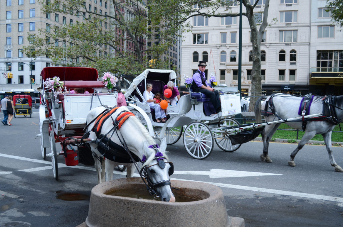 Horse carriages at Central Park South in Manhattan.