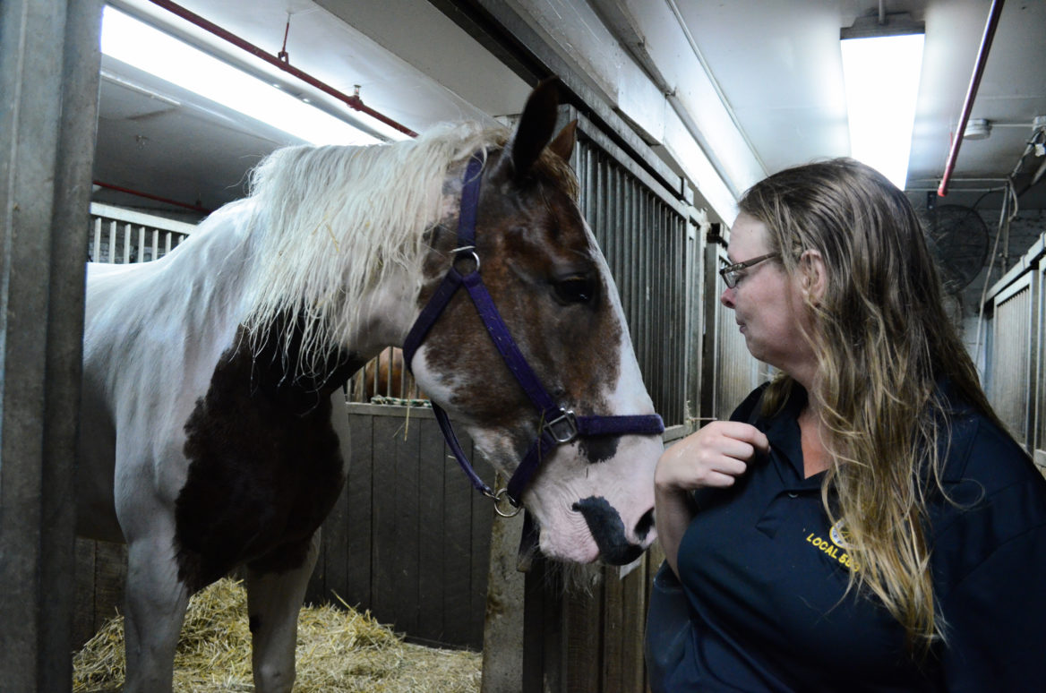 Christina Hansen, a carriage driver and a spokeswoman for the carriage industry, with Norman at the Clinton Park Stables in Manhattan.