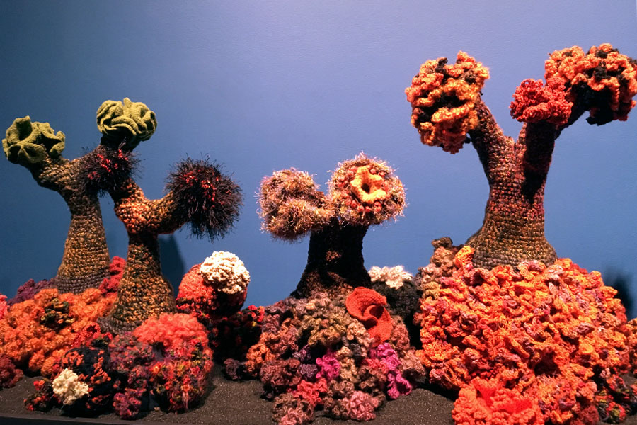 Installation at the Crochet Coral Reef: TOXIC SEAS at the Museum of Arts and Design
